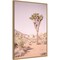 Joshua Tree III Blush by Elizabeth Urquhart Canvas Wall Art Print Framed